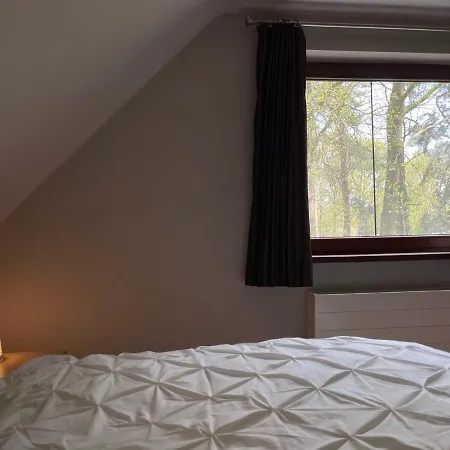 Sterrenheide *